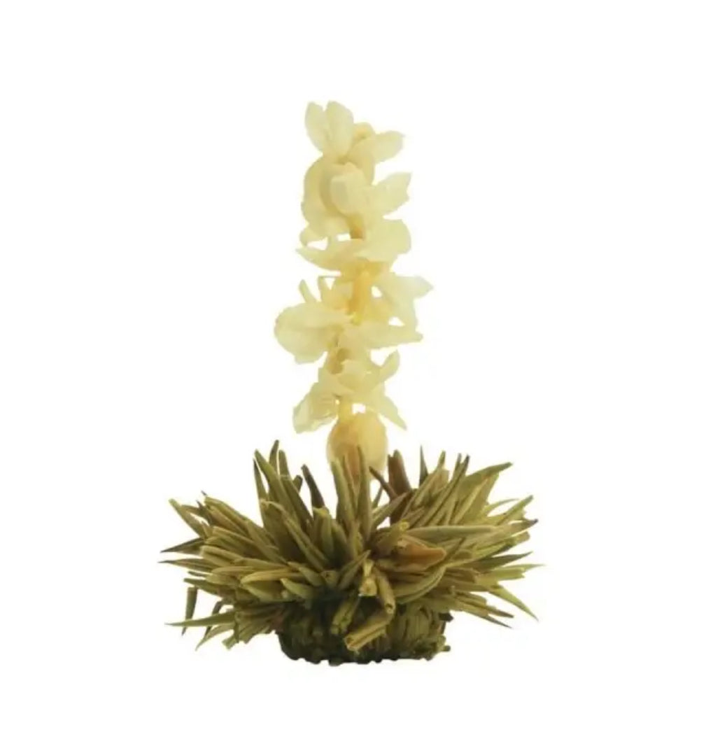 Fleur de thé - La Perle Blanche